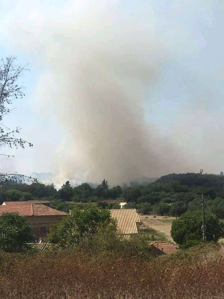 fotia_kerkyra_2.jpg fotia kerkyra