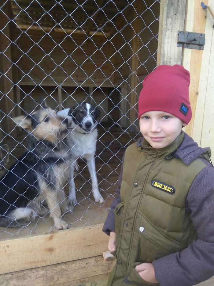 9-year-old-russian-boy-trades-his-art-for-abandoned-dog-food-and-medicine-5da51e90973a6-700.jpg 9-year-old-russian-boy-trades-his-art-for-abandoned-dog-food-and-medicine-5da51e90973a6-700.jpg