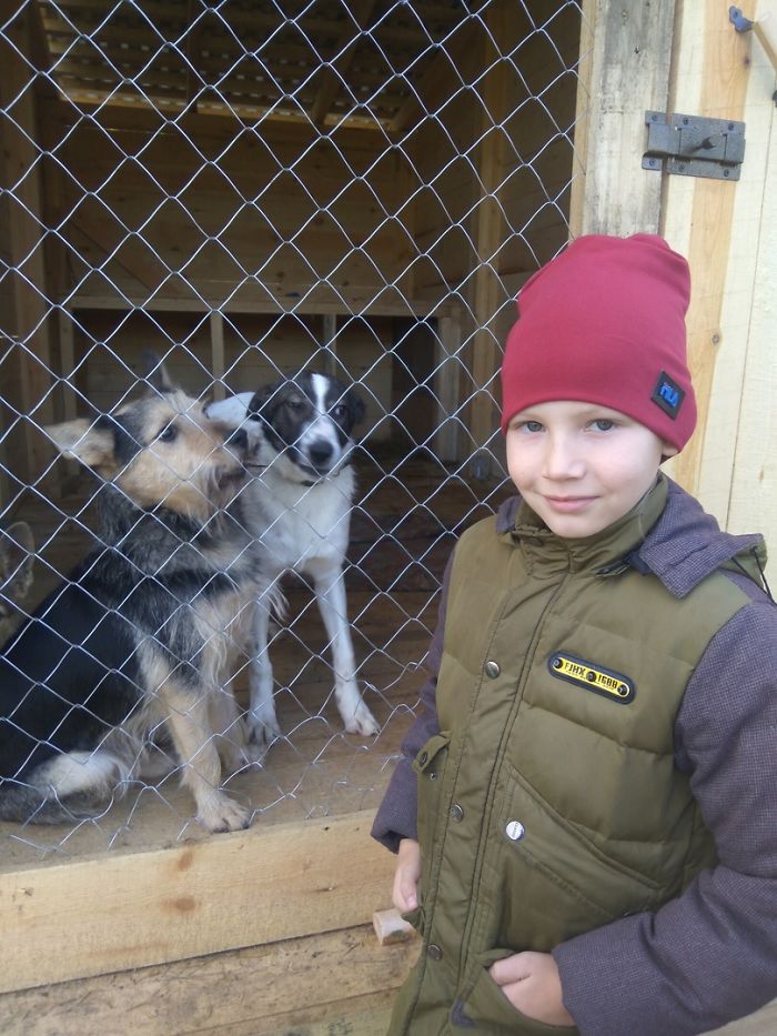 9-year-old-russian-boy-trades-his-art-for-abandoned-dog-food-and-medicine-5da51e90973a6-700.jpg