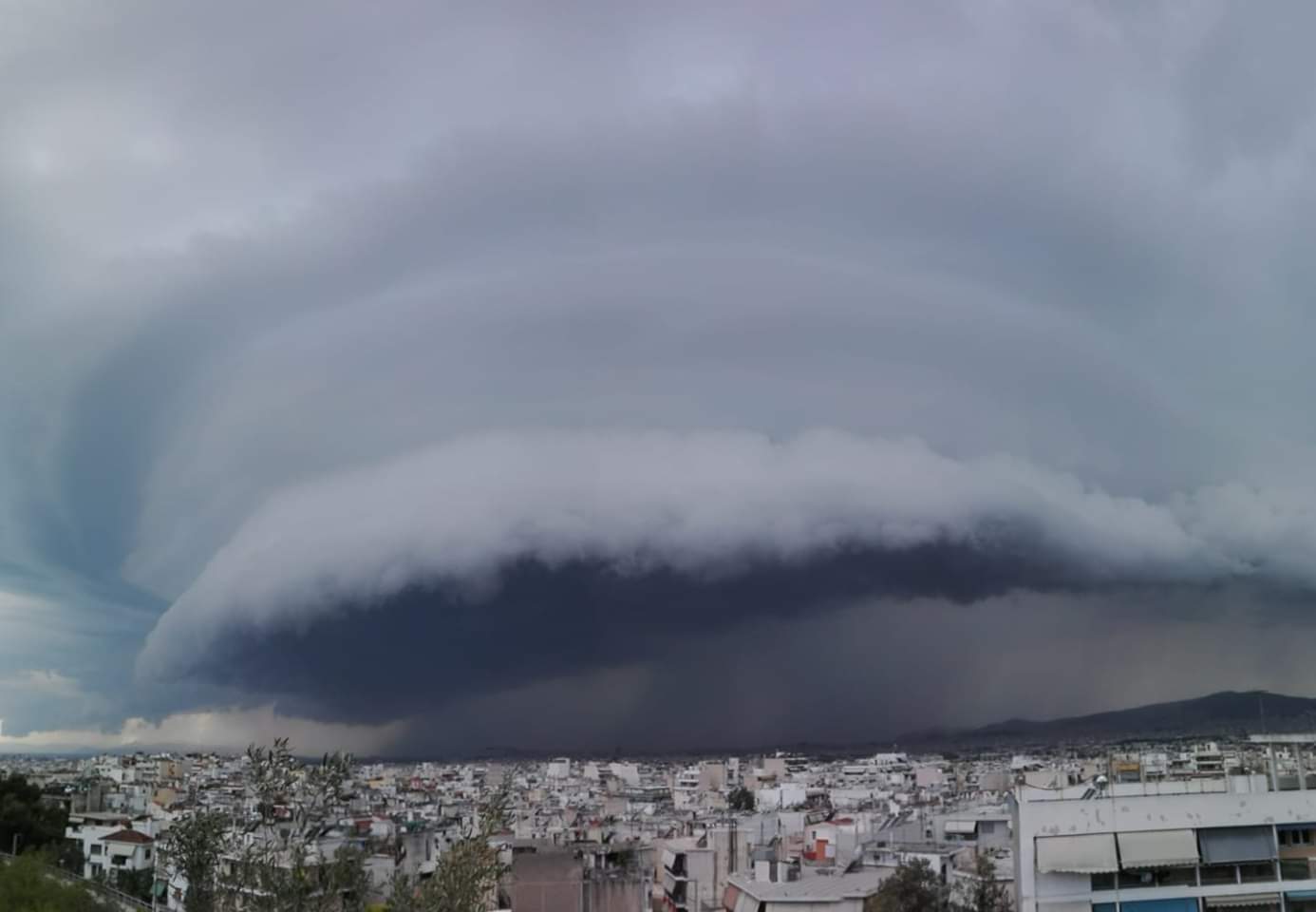 shelfcloud1.jpg 1