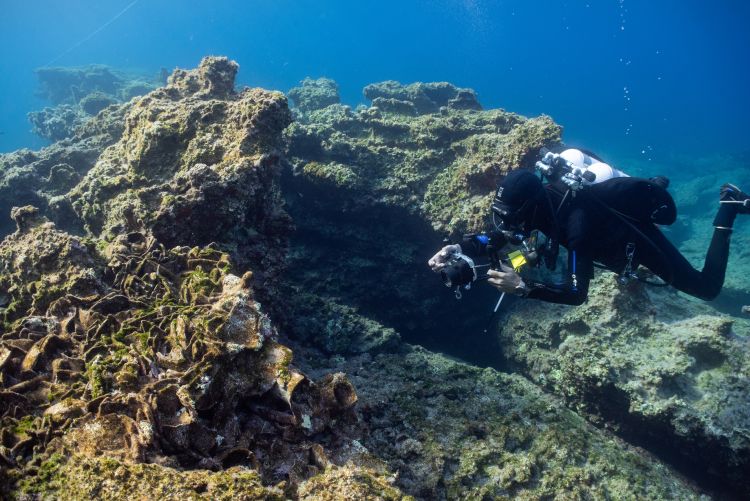 Εικόνα 2. Εργασίες φωτογράφισης ναυαγίου ελληνιστικών χρόνων (φωτ. C. Hoye)