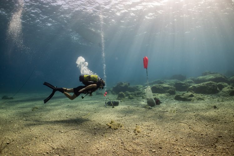 Εικόνα 6. Αμφορέας έτοιμος προς ανέλκυση (φωτ. F. Kvalo)