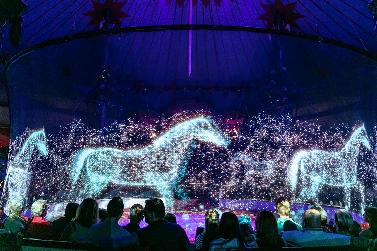 circus_ologramm_doctvgr_02.jpg circus_ologramm_doctvgr_02.jpg