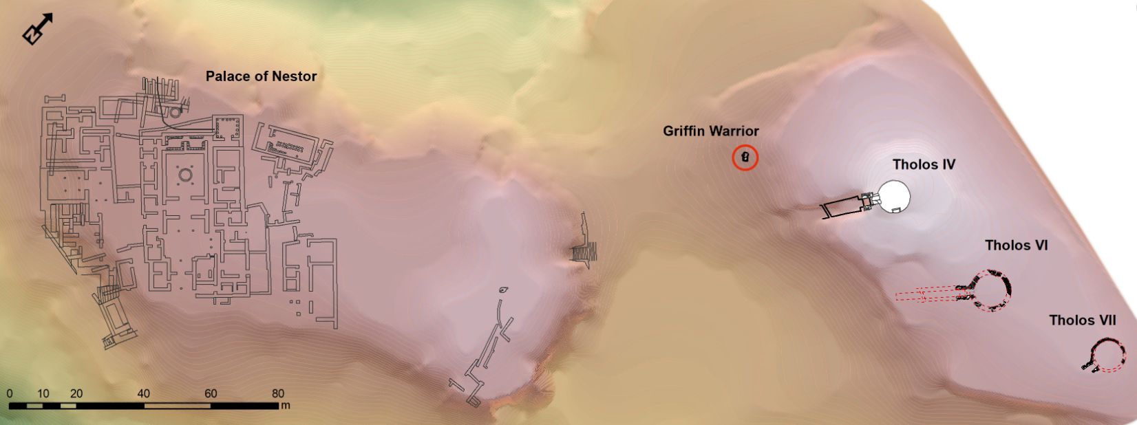 grypas_3.jpg grypas