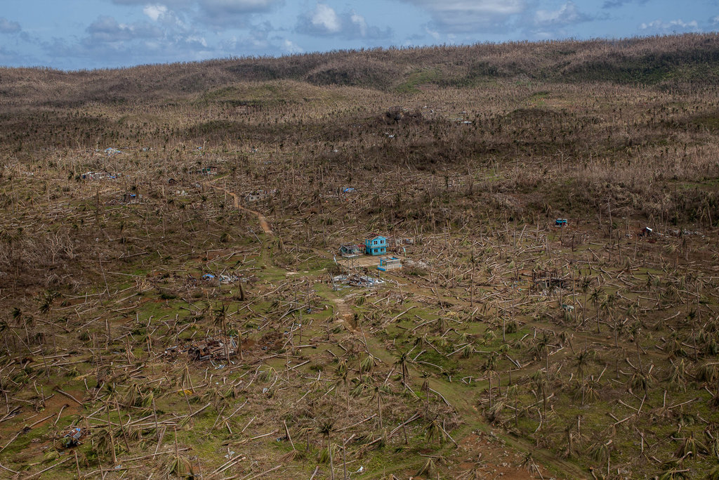 haiyan.jpg Haiyan,