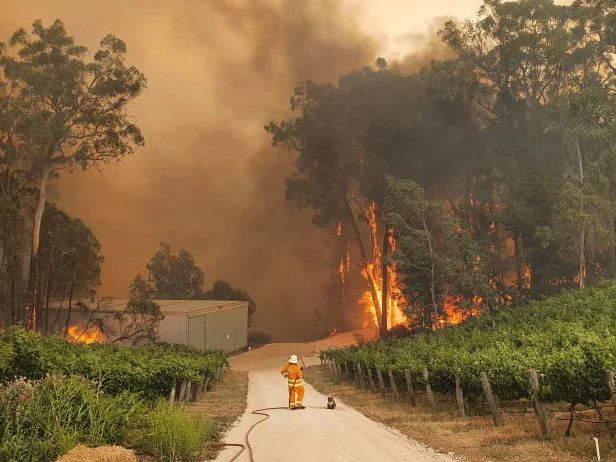 Αυστραλία πυρκαγιά δάσος πυροσβέστης