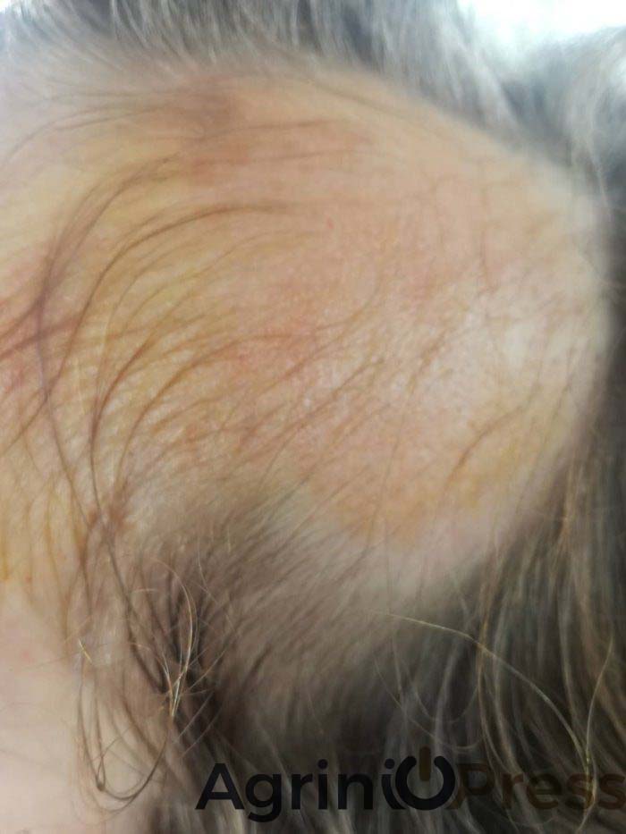 koritsaki-nipiagogeio2.jpg koritsaki-nipiagogeio2.jpg