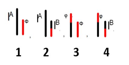 viologia palaio 3