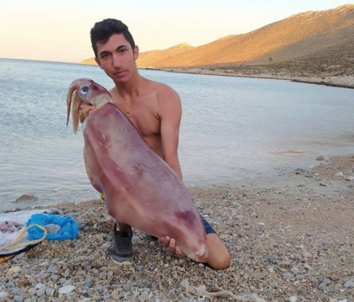 kalumnos2.jpg Κάλυμνος