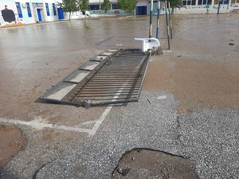 5o_dimotiko_karditsas_7.jpg 5o dimotiko karditsas 7