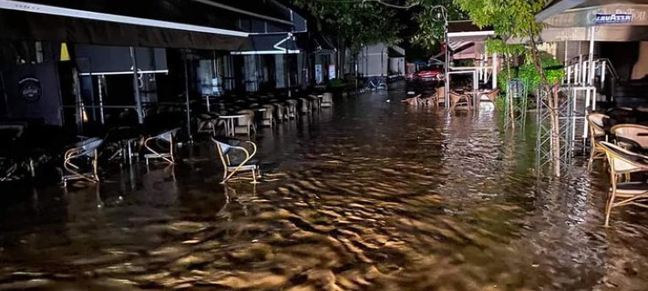 Καρδίτσα Ιανός