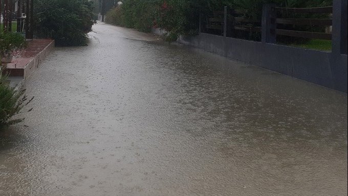 Καρδίτσα Ιανός