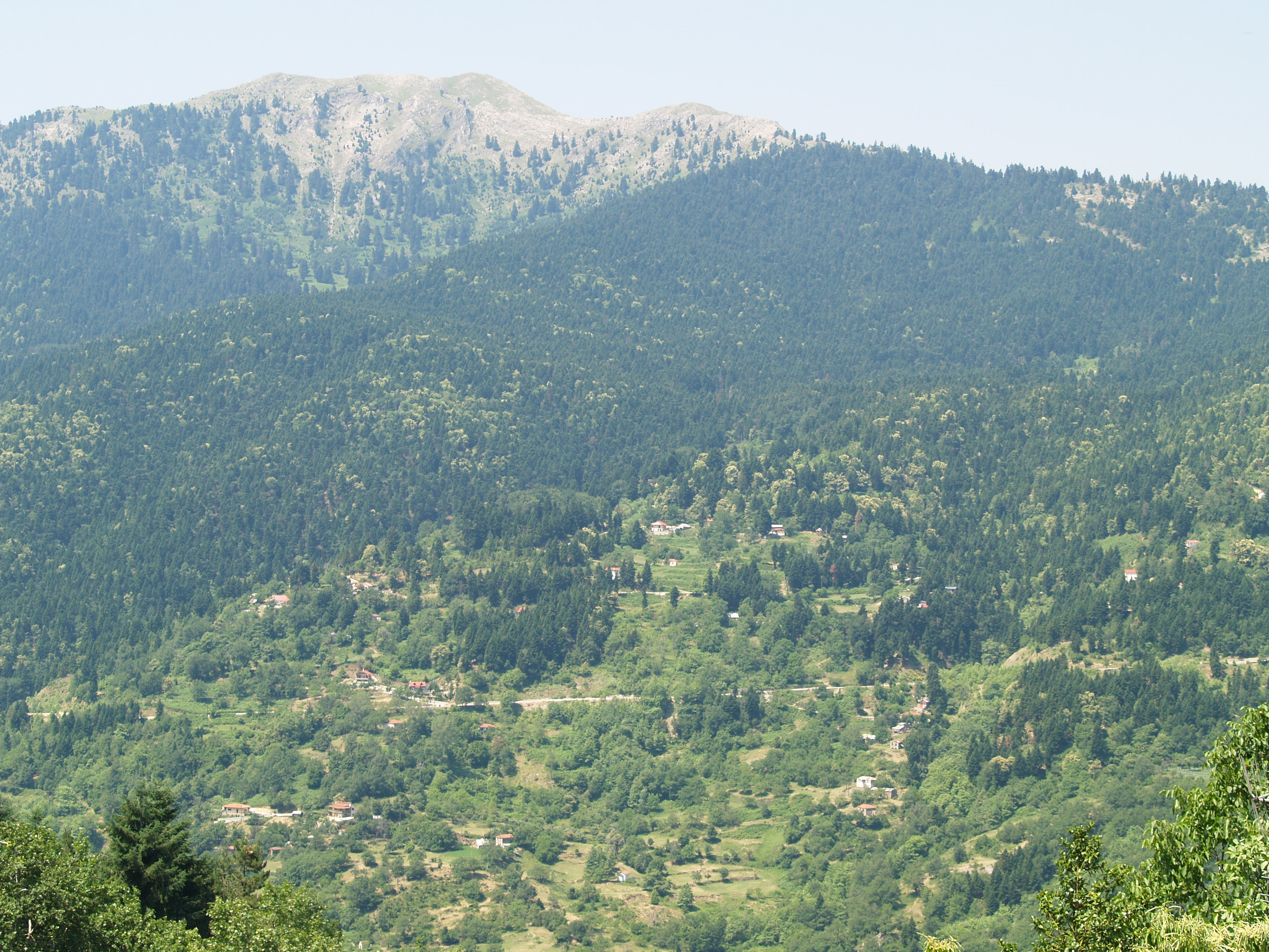trikala_1.jpg trikala 1