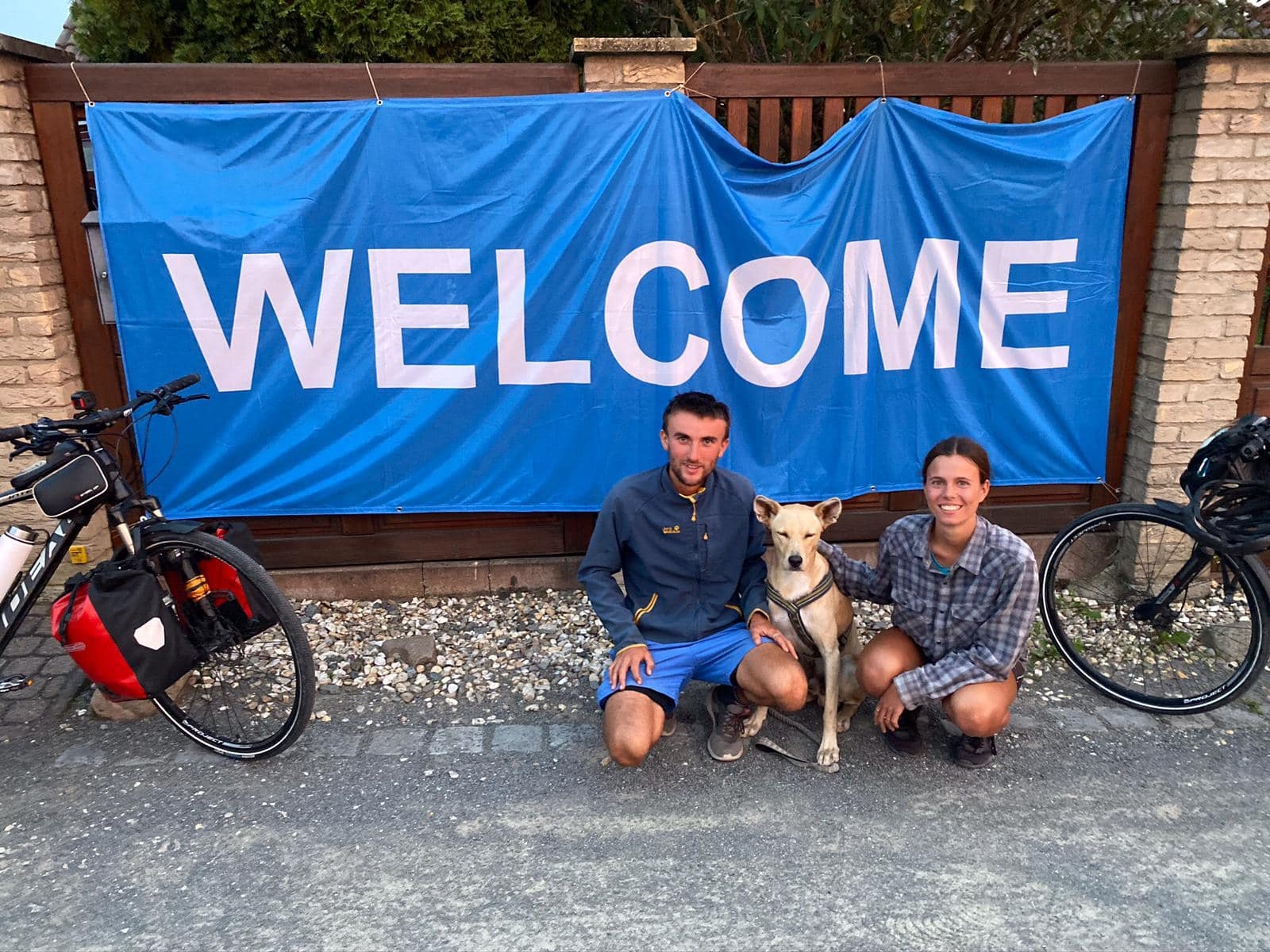 oalekoseftasestigermania.jpg Takis Shelter non profit organisation