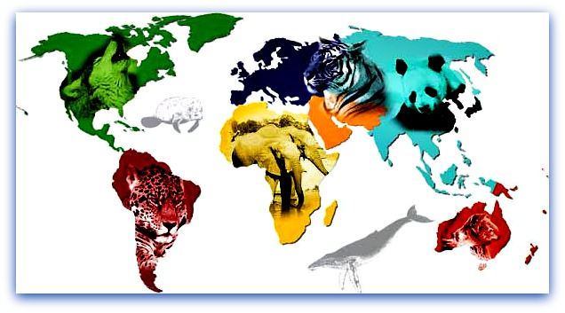 world-animal-map.jpg Παγκόσμια Μέρα των Ζώων