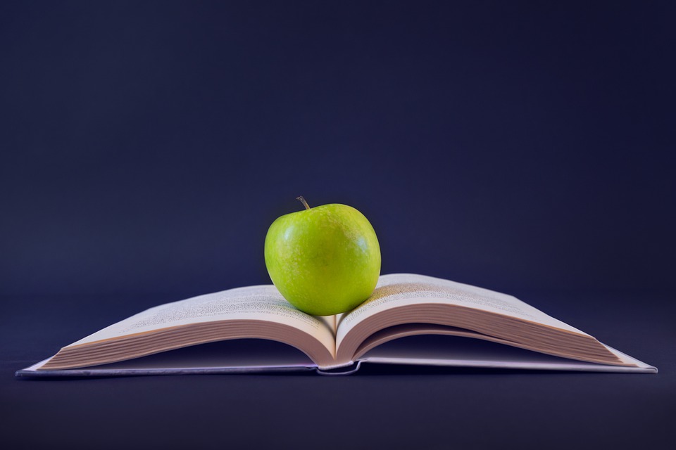 apple-education_ekpaideusi.jpg apple-education_ekpaideusi.jpg
