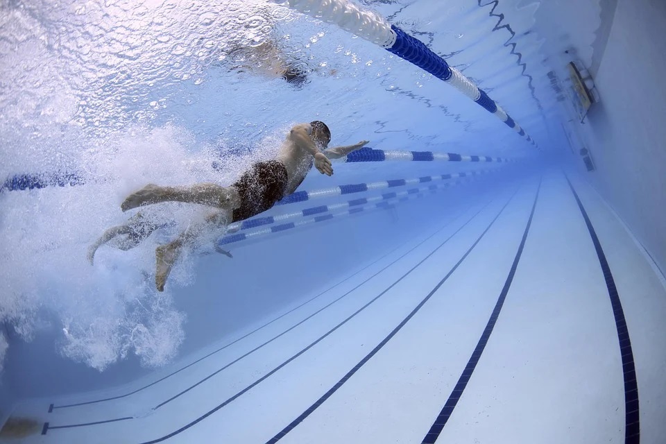 swimmers.jpg Πανελλήνιες 2021: Σπουδές Φυσικής Αγωγής και Αθλητισμού