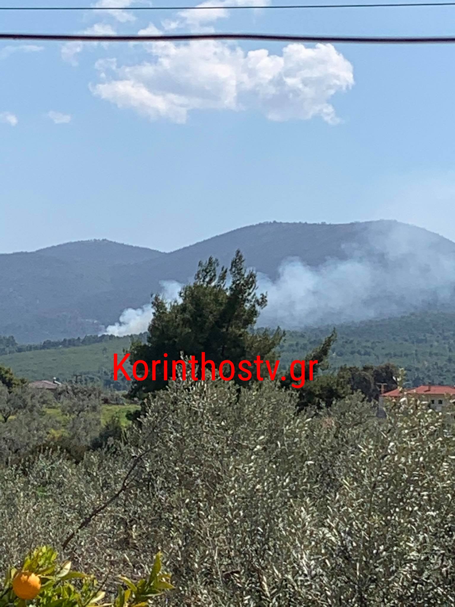 fotia_xiliomodi_2.jpg fotia xiliomodi 2