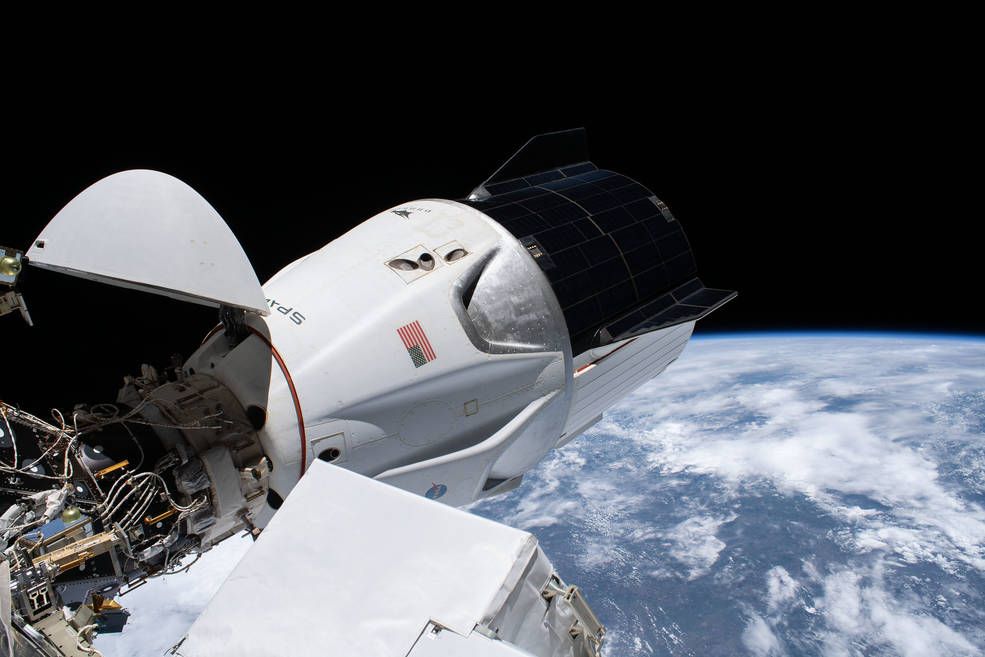 resilience_spacex.jpg Resilience SpaceX