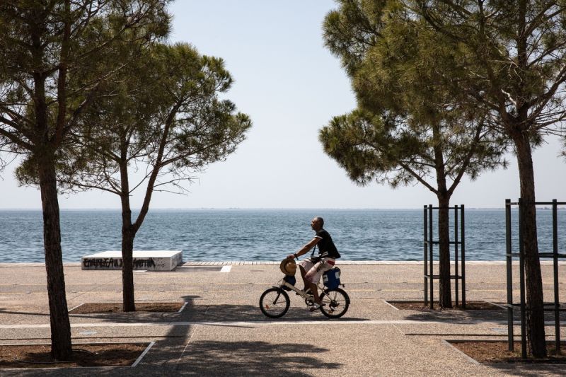φύση, θάλασσα, δέντρα, ποδηλάτης