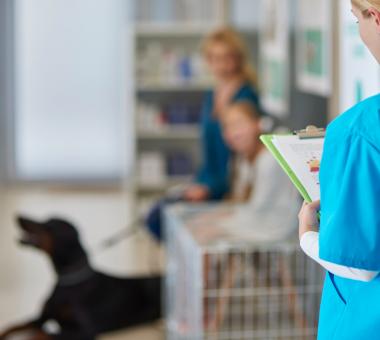 Κτηνιατρικό κέντρο