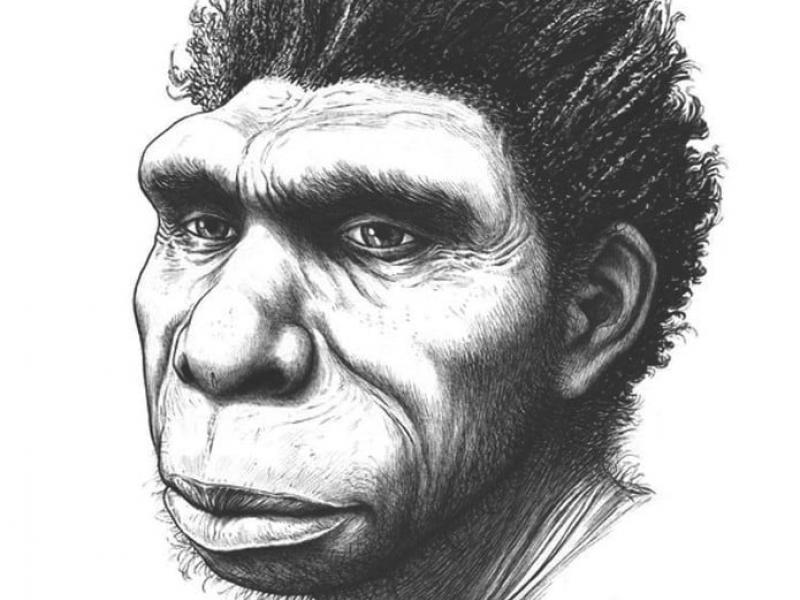  Ανακαλύφθηκε ένας νέος πρόγονος του ανθρώπου, ο Homo bodoensis