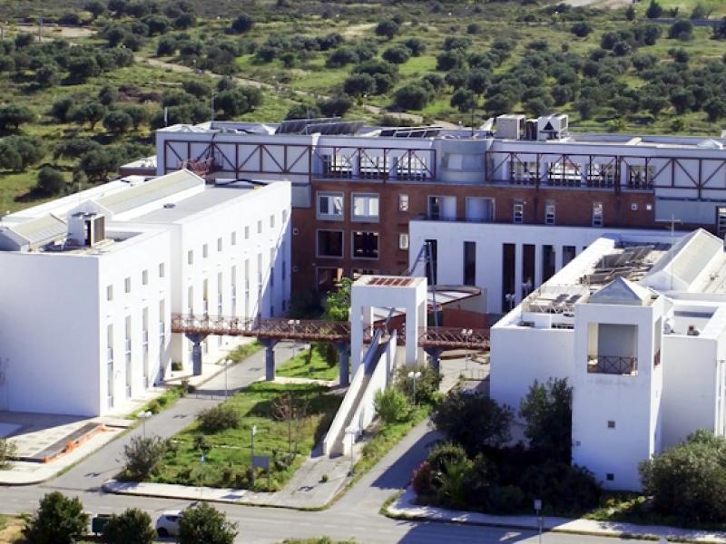 Πανεπιστήμιο Κρήτης: Συμμετοχή στο Ευρωπαϊκό Πανεπιστήμιο INGENIUM