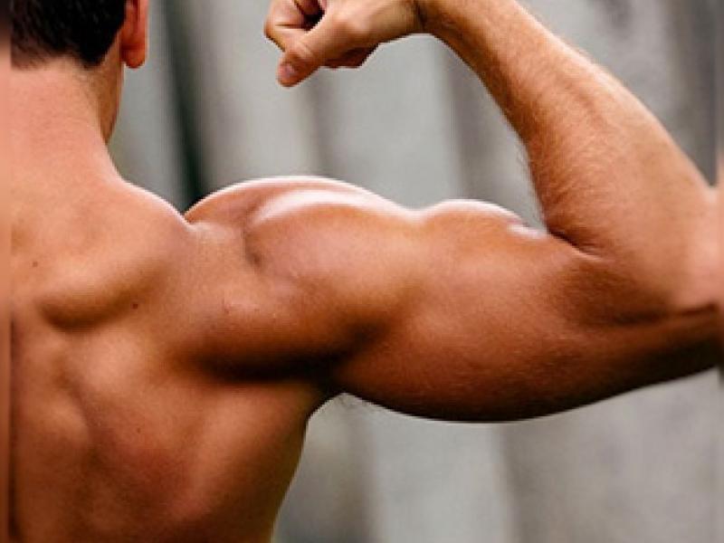 Ιδρύεται δημόσια Σχολή Προπονητών... φίτνες και bodybuilding!