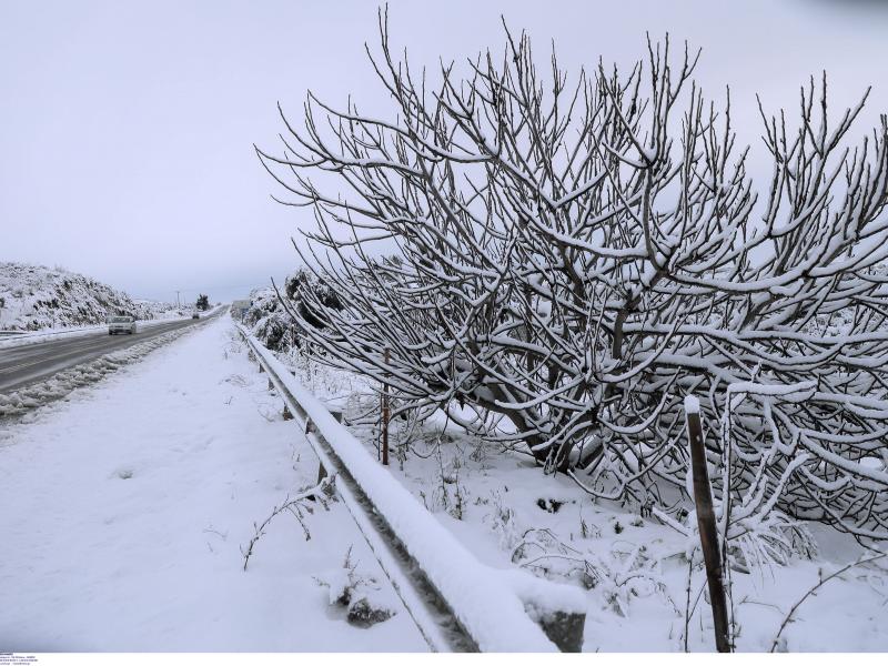 Κλειστά σχολεία στον Βόλο - Σφοδρή χιονοθύελλα πλήττει τη Μαγνησία