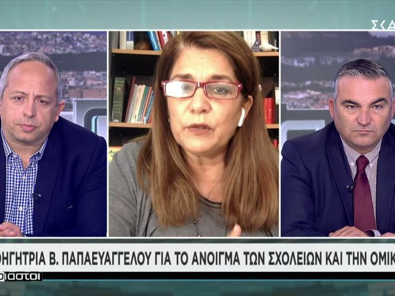 Παπαευαγγέλου για κρούσματα στα σχολεία: Θα ομαλοποιηθεί η κατάσταση