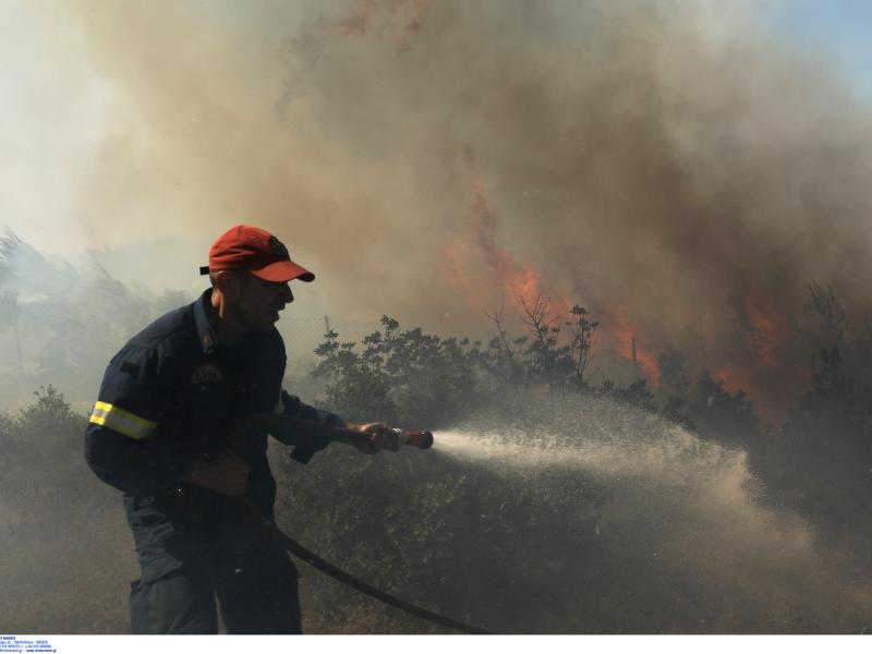 Φωτιά στη Θάσο - Συναγερμός στην πυροσβεστική (Video)