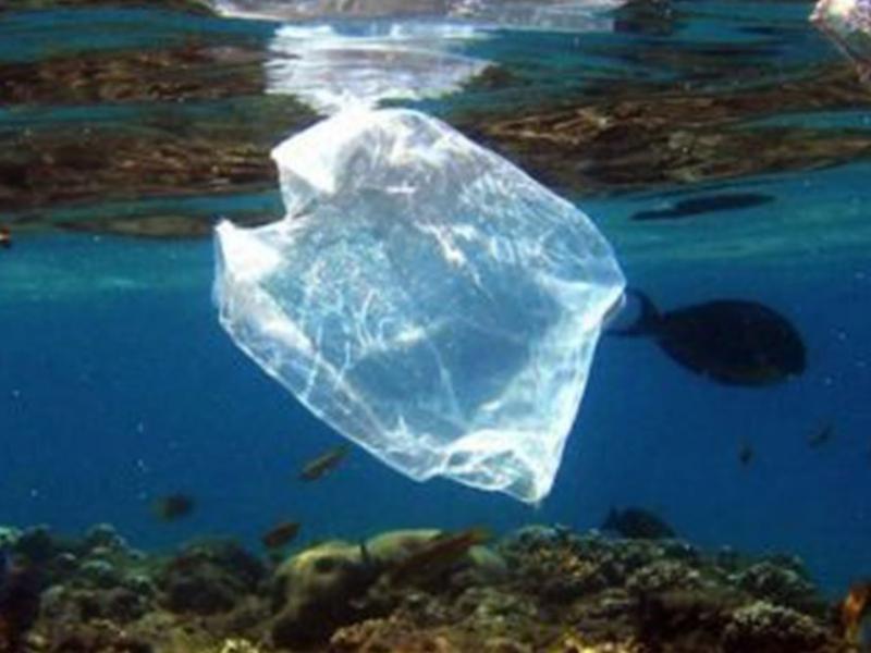 Πλαστικό στη Θάλασσα - Ρύπανση περιβάλλοντος