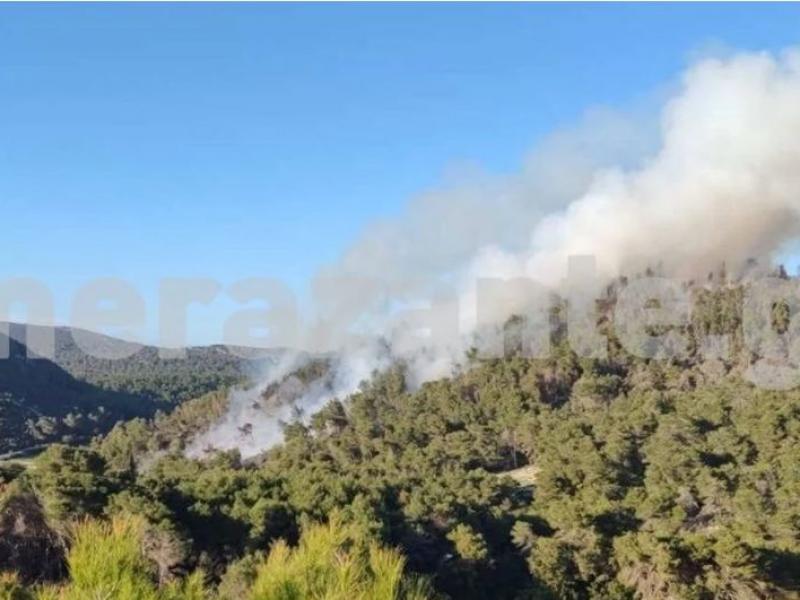 Ζάκυνθος: Μεγάλη πυρκαγιά στο χωριό Κοιλιωμένος