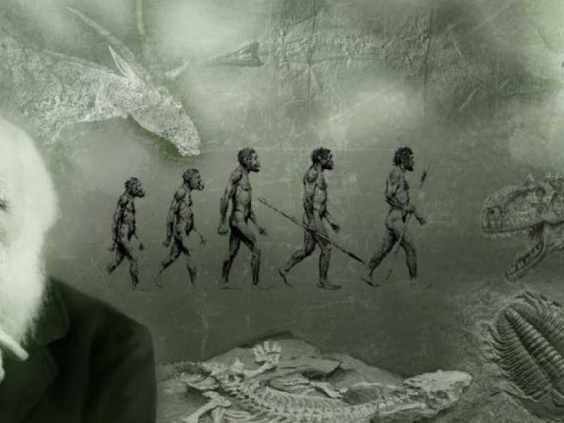 Κάρολος Δαρβίνος: Μια θεωρία χωρίς απόδειξη