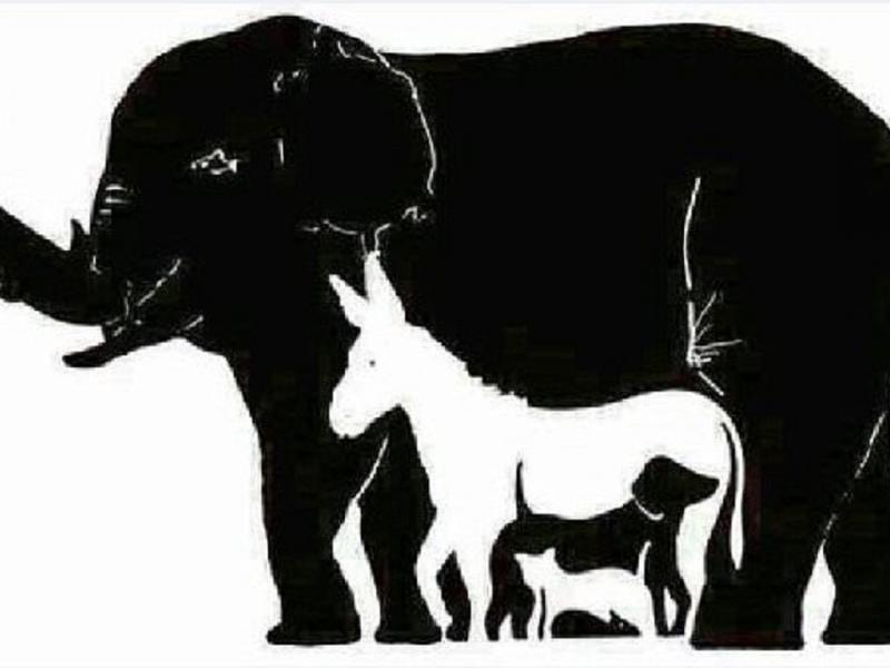 Σπαζοκεφαλιά: Πόσα ζώα βλέπετε στην εικόνα;