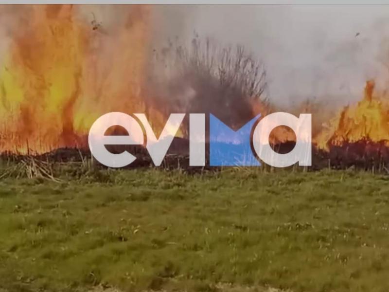 Υπό έλεγχο η φωτιά στην Εύβοια: Υπάρχουν μικρές και διάσπαρτες εστίες