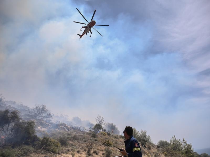 Φωτιά σε δασική έκταση στη Νέα Μάκρη