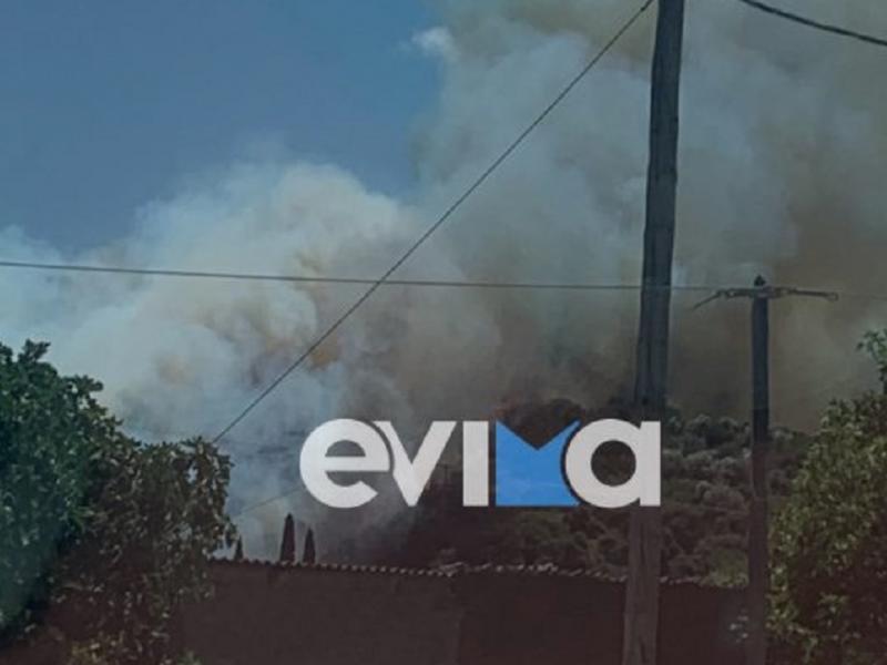 Φωτιά στην Εύβοια: Κοντά σε κατοικημένη περιοχή στο Αλιβέρι