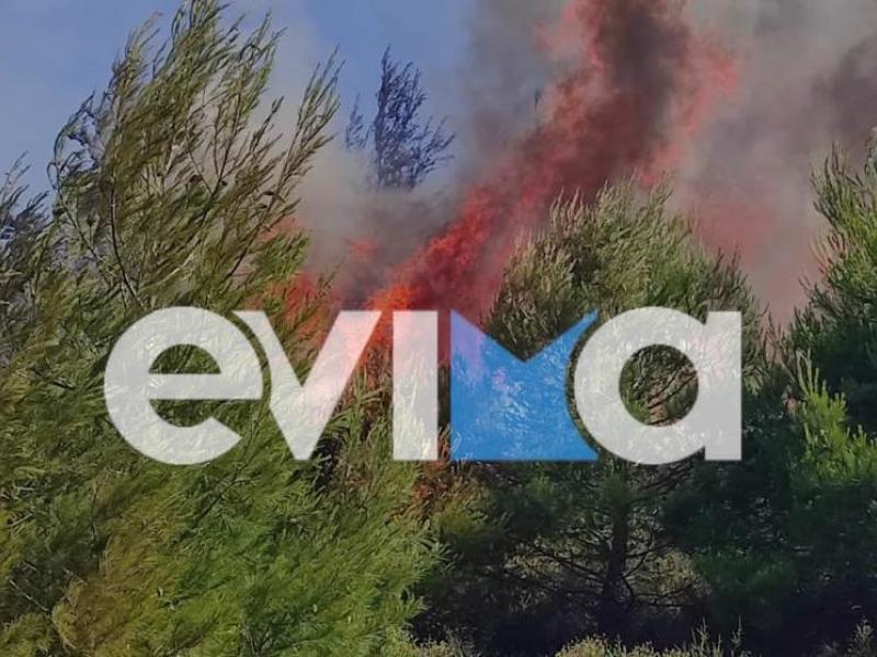 Φωτιά στην Εύβοια: Εκκενώνεται το χωριό Κρεμαστός - «Οι φλόγες έχουν φτάσει στην είσοδο του χωριού»