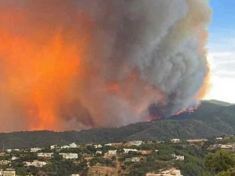 Ισπανία: Μεγάλες πυρκαγιές πλήττουν τη χώρα - Στάχτη χιλιάδες στρέμματα δάσους