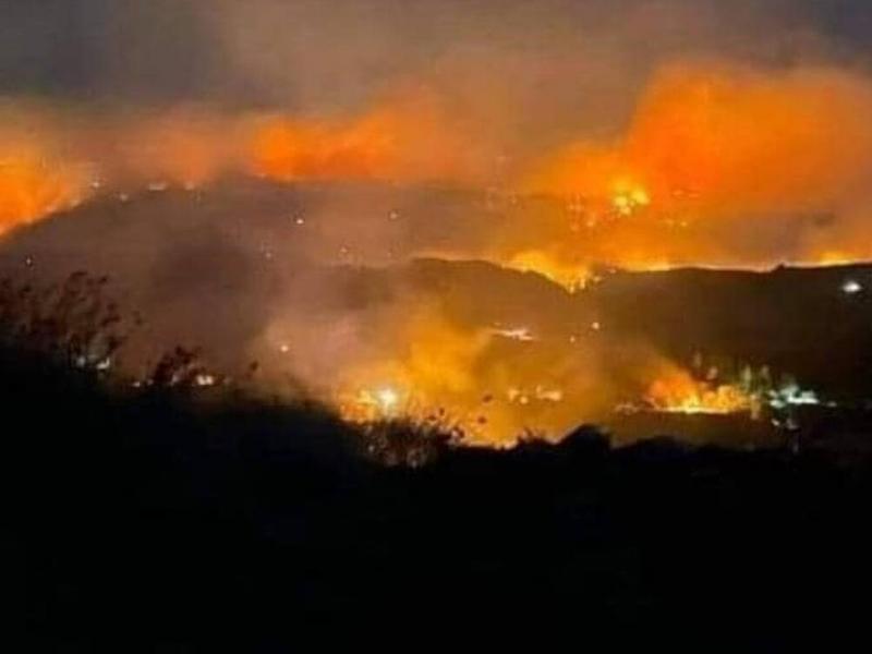 Ξημερώματα σήμερα: Σε πλήρη εξέλιξη η φωτιά στην Ηλεία - Εκκενώθηκαν τρεις οικισμοί