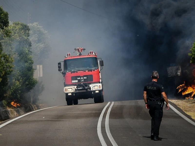 φωτιά ηλεία κρέστενα