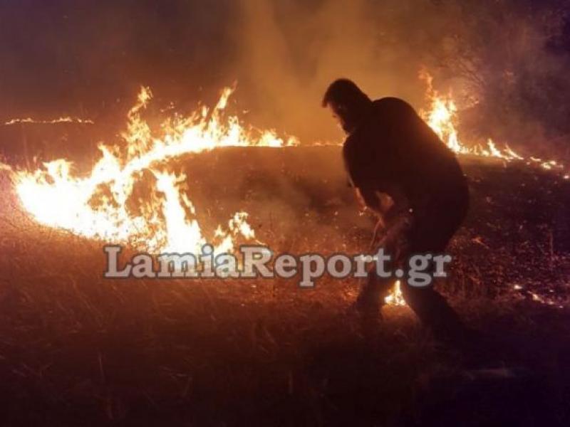 Στόχος εμπρηστών η Στυλίδα - «Όλα δείχνουν ανθρώπινο χέρι»