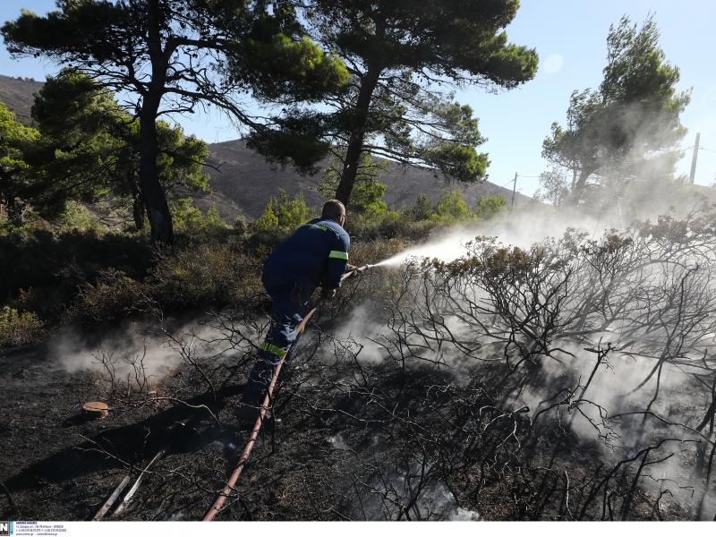 Φωτιά στην Πεντέλη: Μέχρι 113 χλμ/ώρα οι ριπές στην Πεντέλη - Κρίσιμες οι επόμενες ώρες