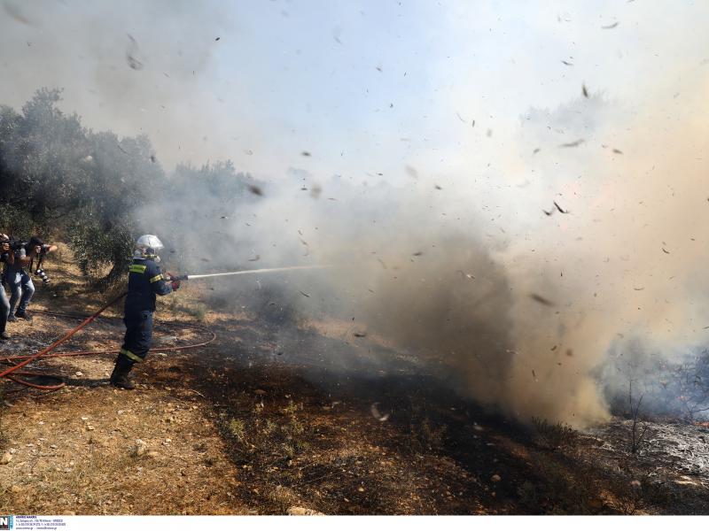 Φωτιά στην Πεντέλη: Υπηρεσίες ψυχολογικής υποστήριξης στους πληγέντες από την πυρκαγιά