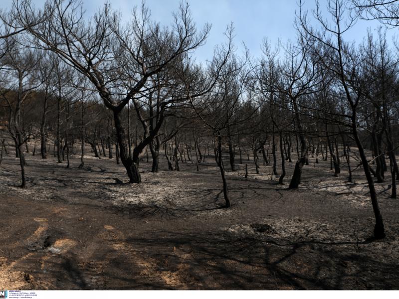 fotia-lesvos