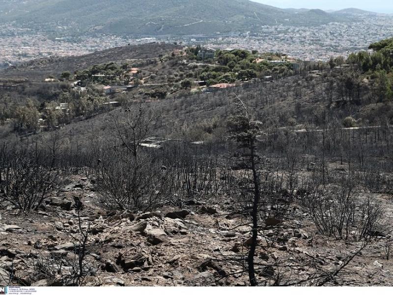 «Στάχτη» η Πεντέλη: Κάηκαν περίπου 20.350 στρέμματα - Τεράστια η καταστροφή