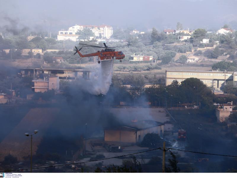 Σοκαριστική δήλωση του εμπρηστή στη Μεσσηνία: «Με εξιτάρει η κινητικότητα της πυροσβεστικής»
