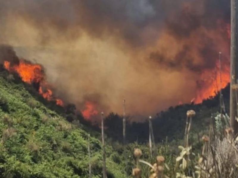 Πυροσβεστική: 40 δασικές πυρκαγιές εκδηλώθηκαν το τελευταίο 24ωρο