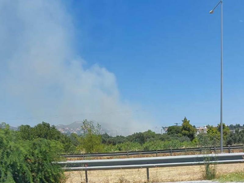 Φωτιά στη λεωφόρο Μαραθώνος στο Πικέρμι